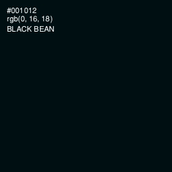#001012 - Black Bean Color Image